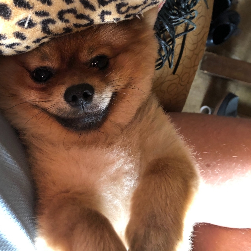 Whiskey Accepts Offers!